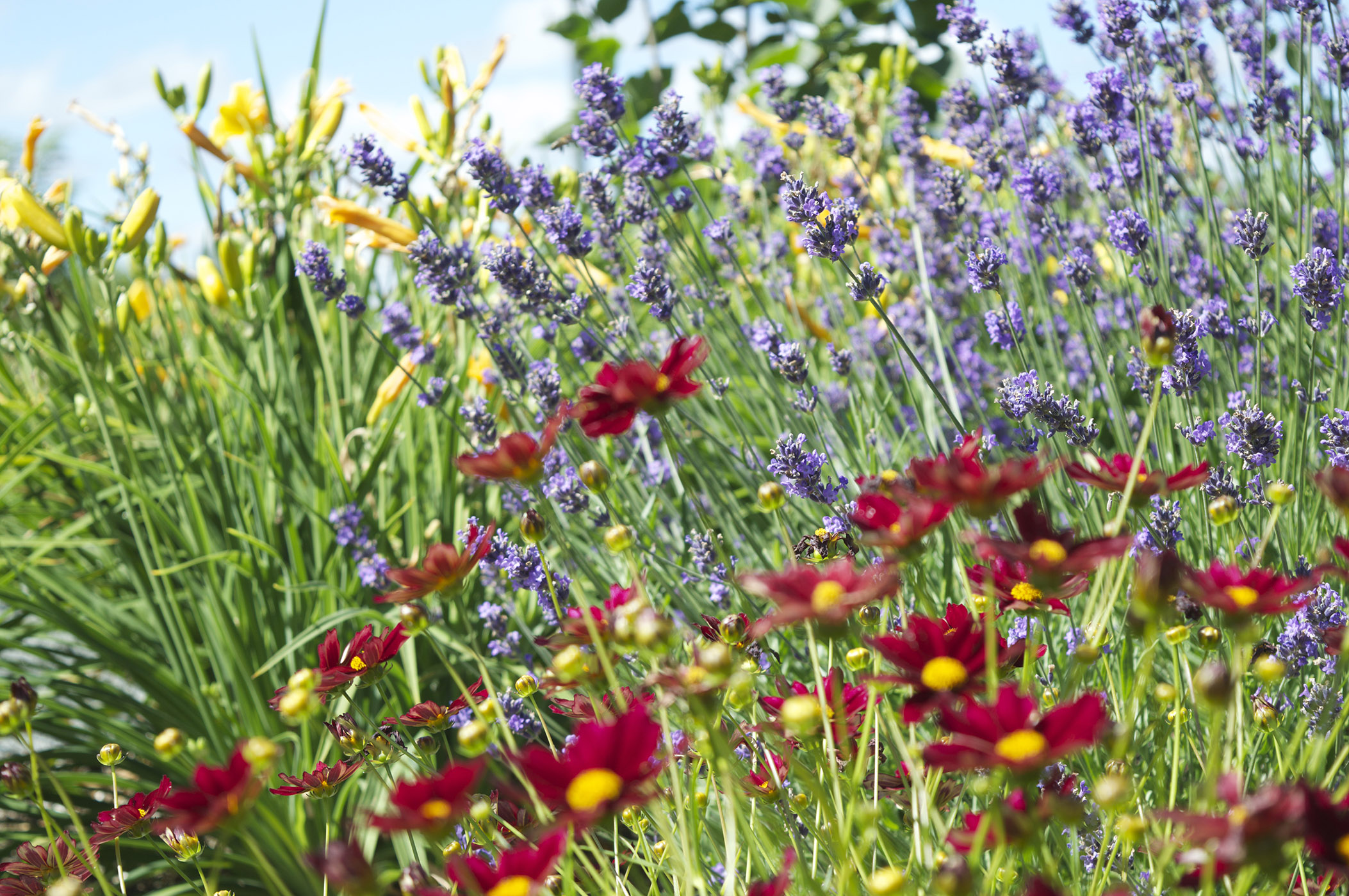 landscaping abbotsford